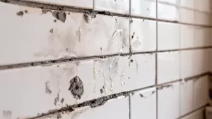 Czym myć płytki na ścianie