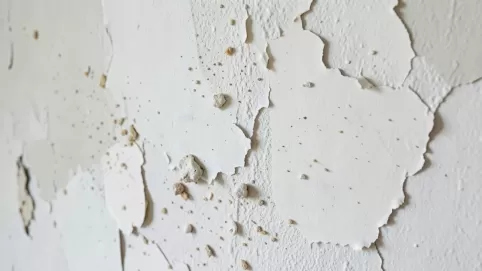 Skrobanie ścian cena za m2